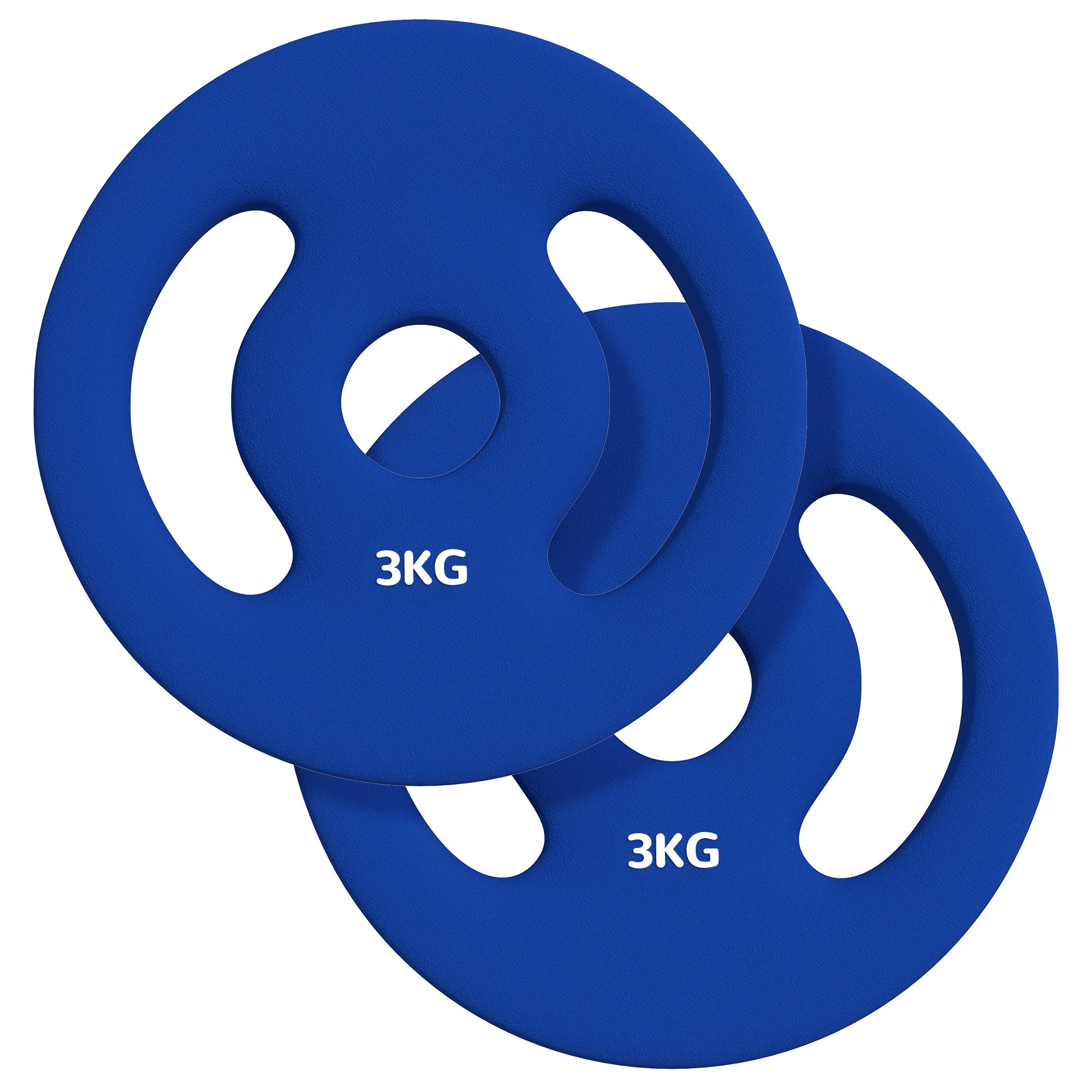 Soozier 2 x 6.6lbs Standard Weight Plates with Easy-Grip Handles, 1" Holes, for Home, Gym, Weight Lifting and Strength Training