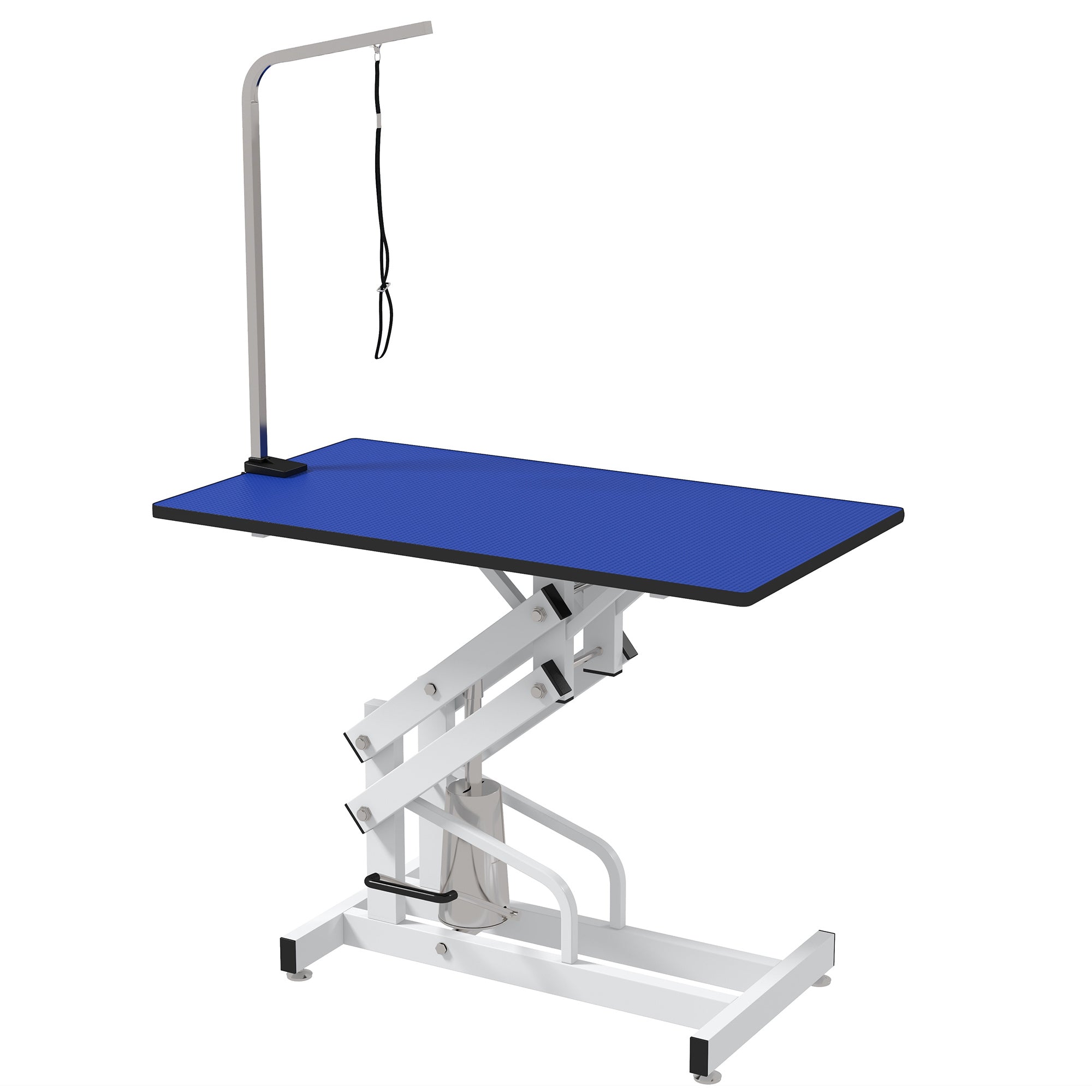 PawHut Pet Grooming Table, Height Adjustable Dog Grooming Table with Arm, Noose and Non-Slip Grooming Table, Blue