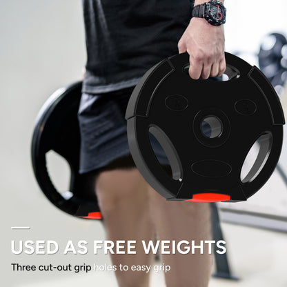 Soozier 1-Inch Weight Plates, Barbell Weights Set for Weightlifting and Strength Training, 2 x 11lbs + 2 x 5.5lbs