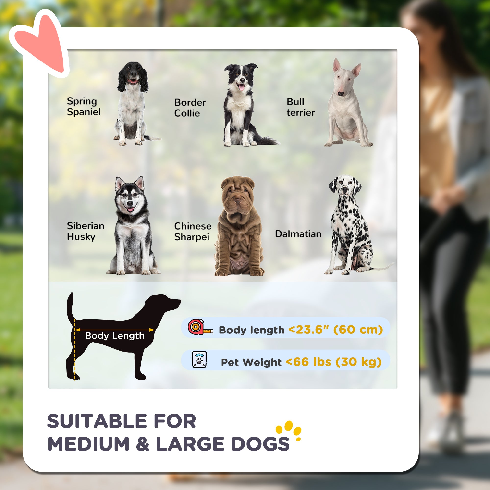 PawHut Foldable Pet Stroller with Universal Front Wheels, Shock Absorber, Dog Cat Carriage for Large & Medium Dogs, Black