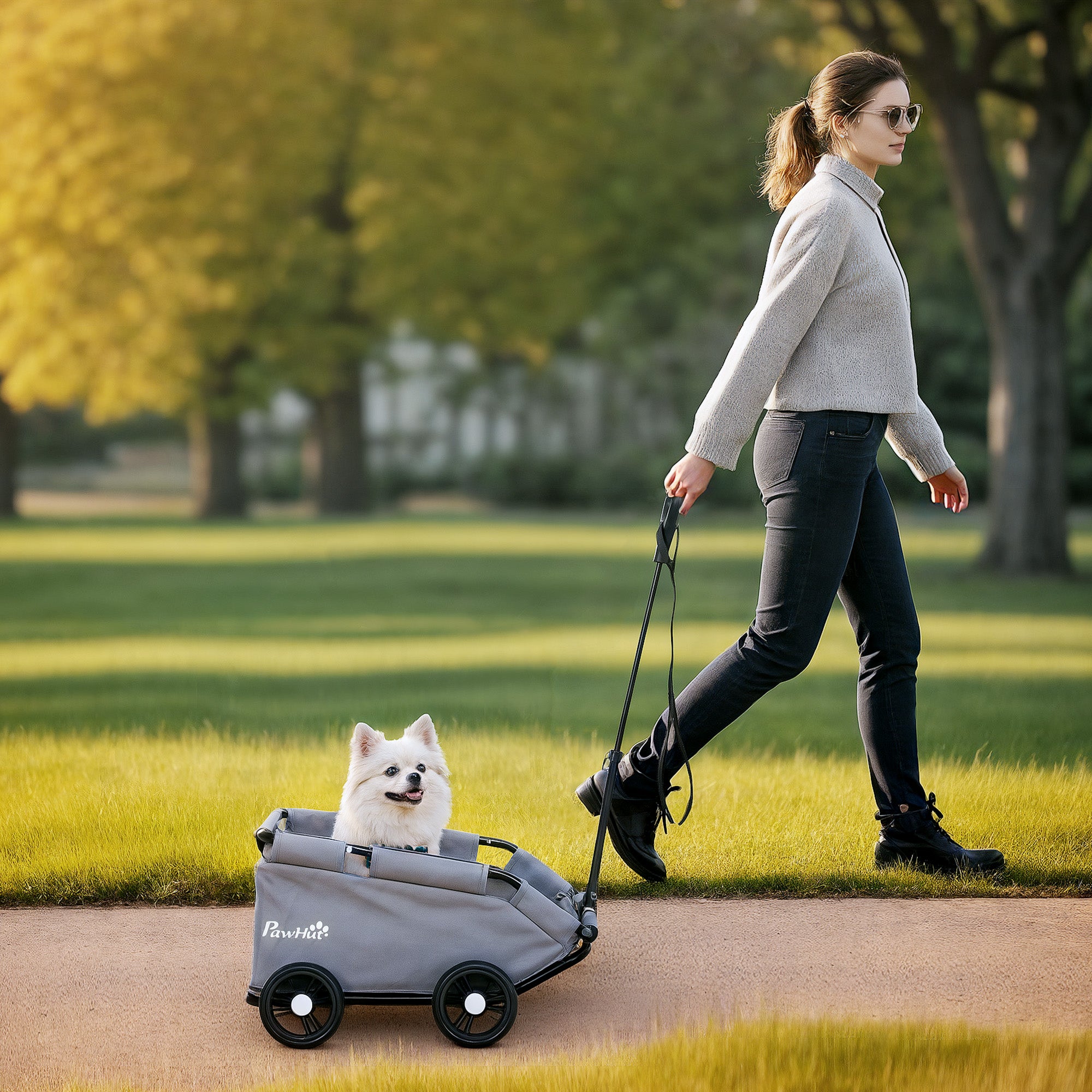 PawHut 4 Wheels Folding Lightweight Pet Stroller with Universal Handle Rod, Storage Bag, Washable Cushion for Miniature Dogs