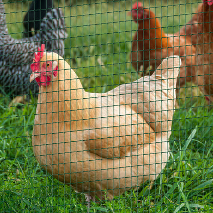 PawHut Chicken Wire Fencing 98' x 3', 1" x 0.5" Rectangle Chicken Wire for Crafts Garden Poultry, Metal Hardware Cloth Netting for Chicken Coops, Rabbit Cage, Dark Green