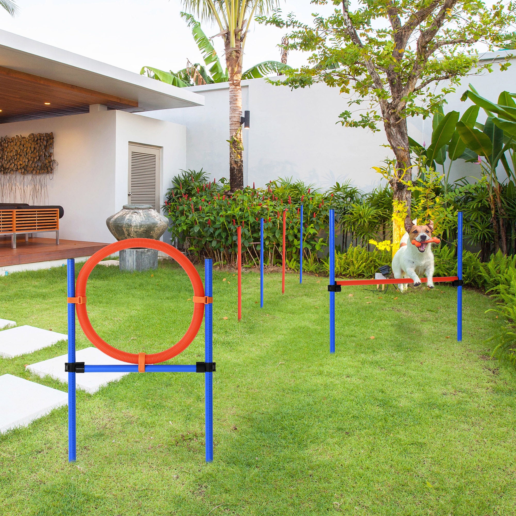 PawHut Dog Pet Agility Training Kit High Jump Weave Pole Ring Obedience Training Set Adjustable Equipment Portable