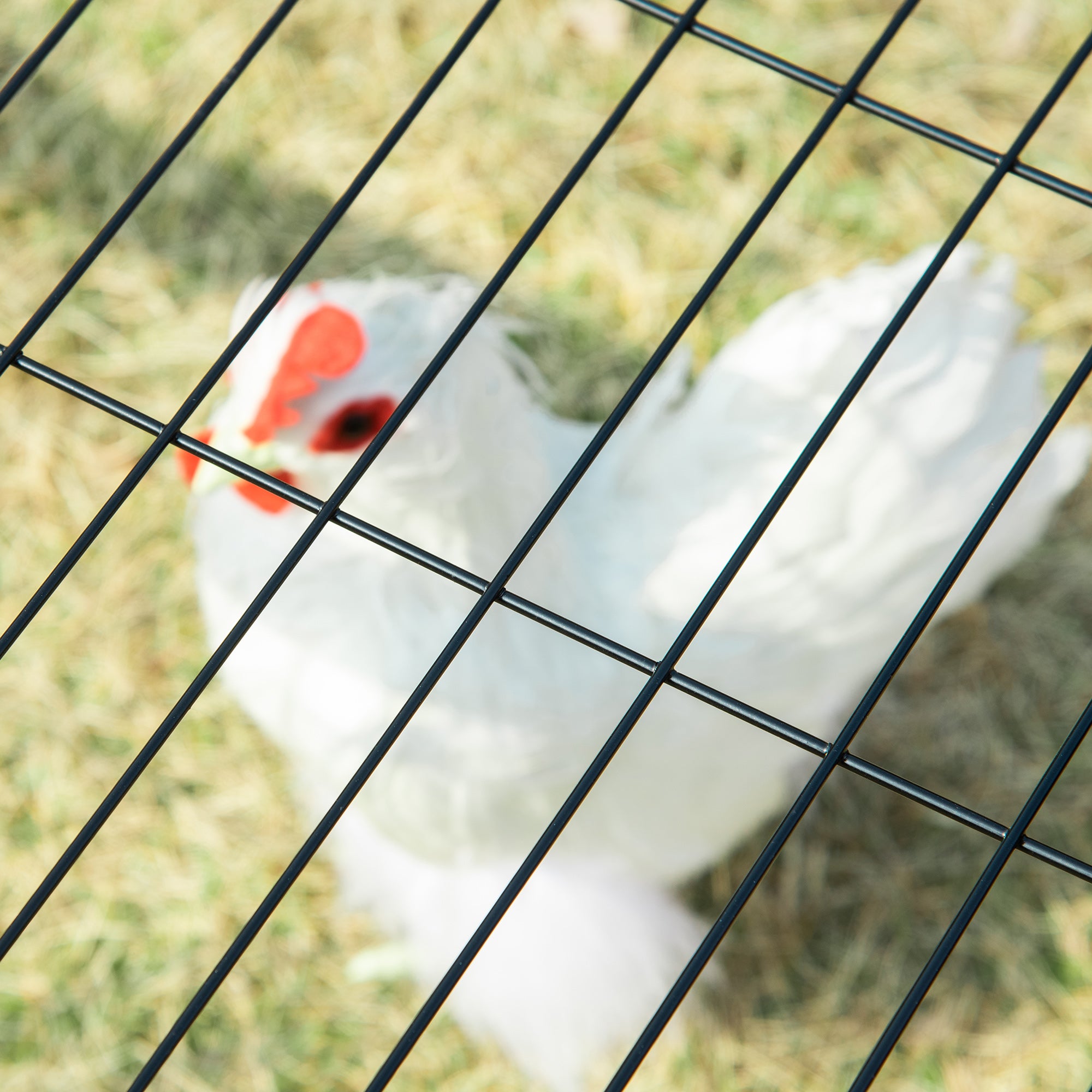 PawHut Metal Chicken Coop, Outdoor Hen House Poultry Duck Goose Cage with Water-Resistant Canopy, Run, Nesting Box, Lockable Doors, Green