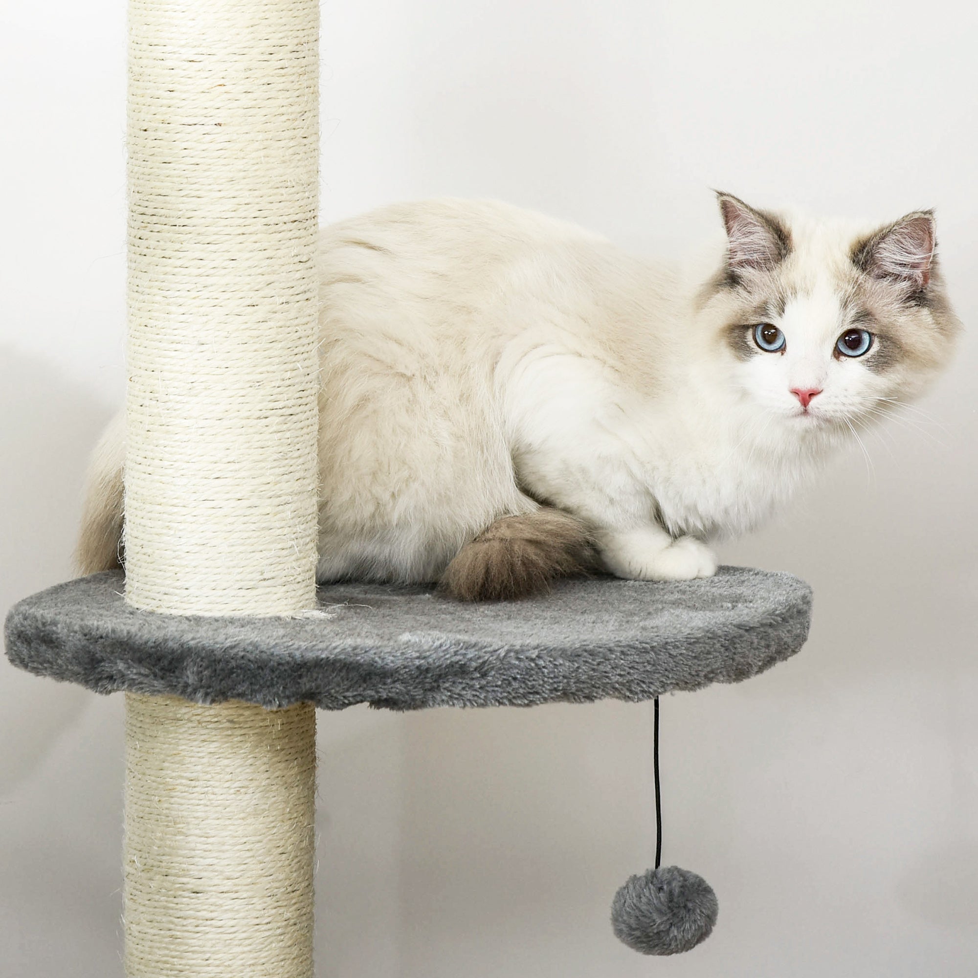 PawHut 4-Tier Floor to Ceiling Cat Tree, Tall Cat Tower with Scratching Post, Plush Padding, Toy Ball, Cat Condo for Indoor Cats, Light Grey