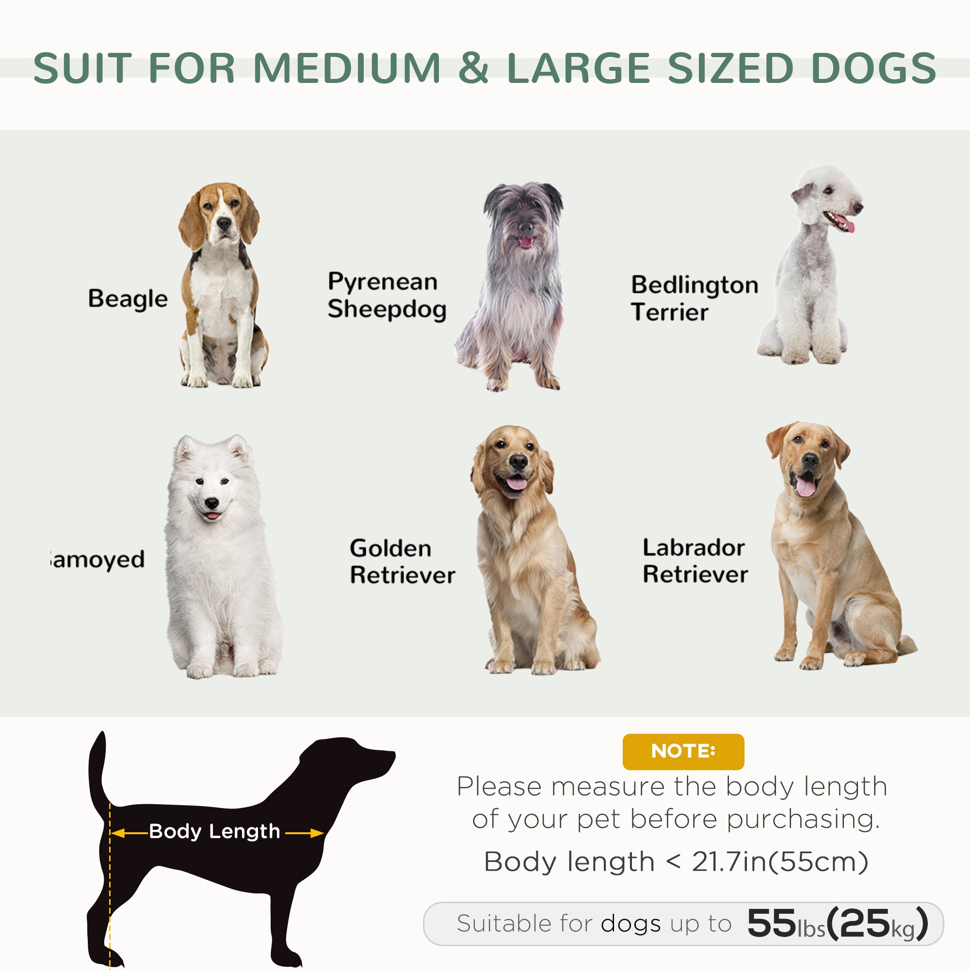 PawHut Dog Sofa Bed with Removable Pillows, Foam Pet Sofa Cat Sofa with Removable Washable Cushion, Water-resistant Fabric, for Medium and Large Dogs, Grey