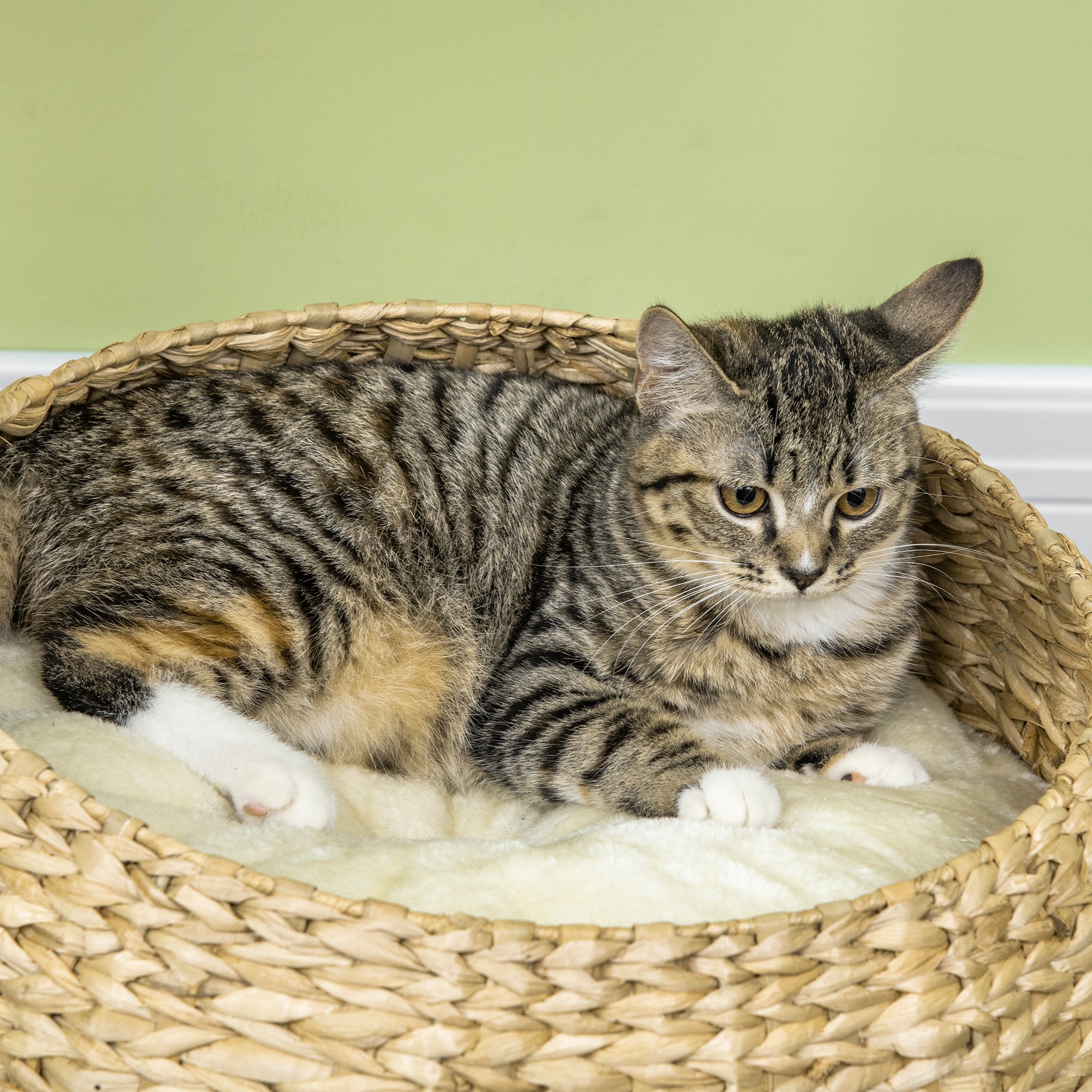 PawHut 28" Cat Tree with Scratching Post, Cat Tower with Double Beds, Beige