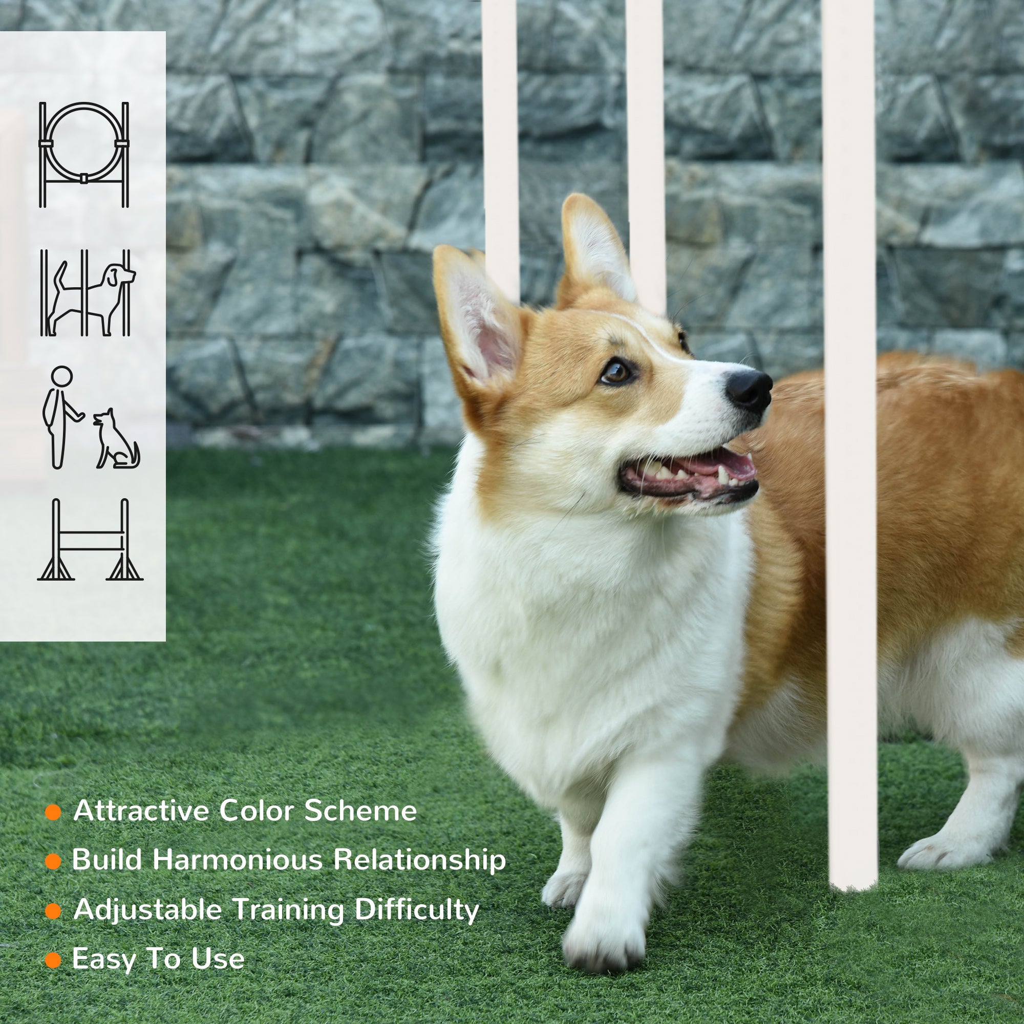 PawHut 5 Pieces Dog Agility Training Equipment with Disc, Whistle, Weaves Poles, Adjustable Jumping Poles, Food Bag, Carry Bag