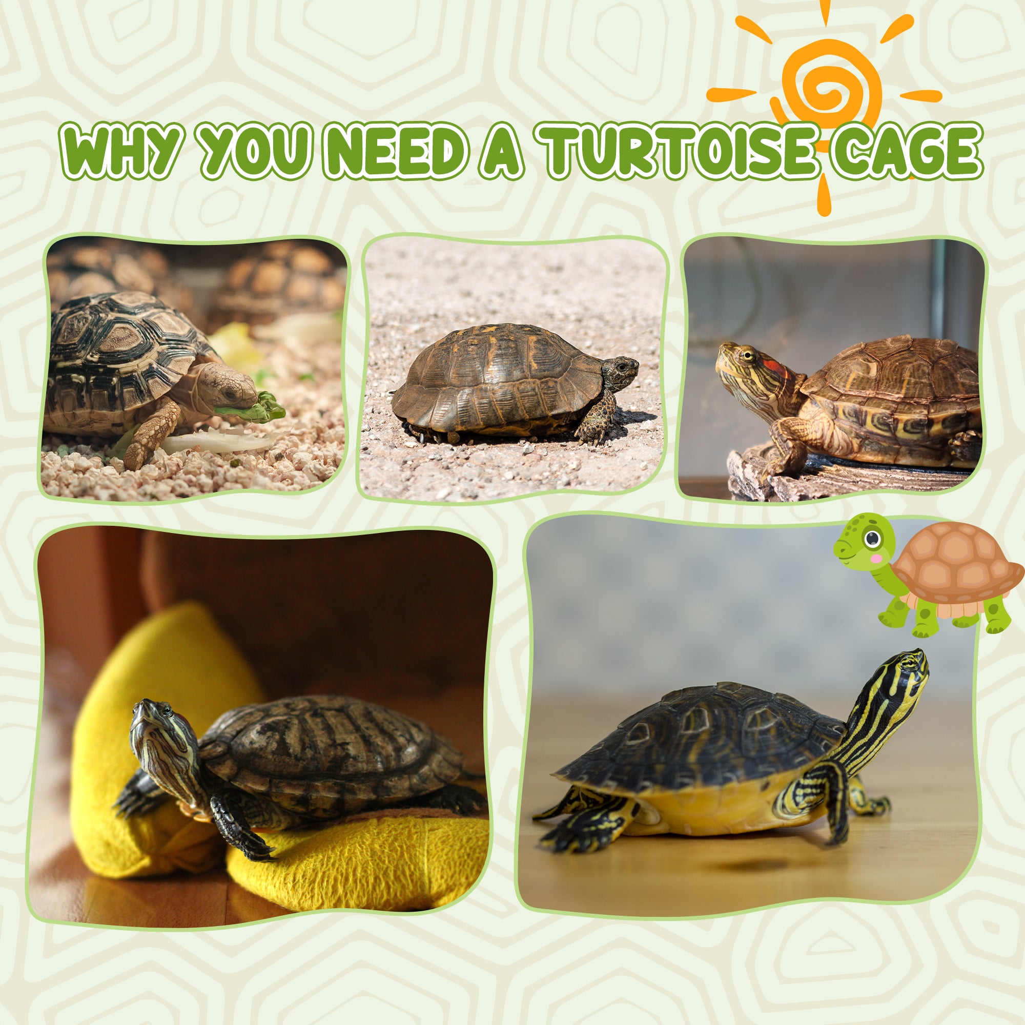 PawHut Wooden Tortoise Enclosure with Two Room Design, for Indoor Use, 37" x 25" x 13", Nature Wood