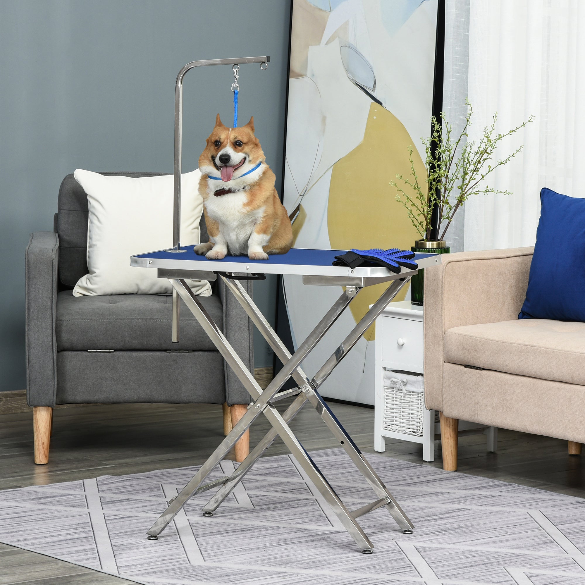 PawHut 28" Foldable Dog Grooming Table with Adjustable Arm, Non-Slip Surface for Medium Small Dogs, Cats, Blue