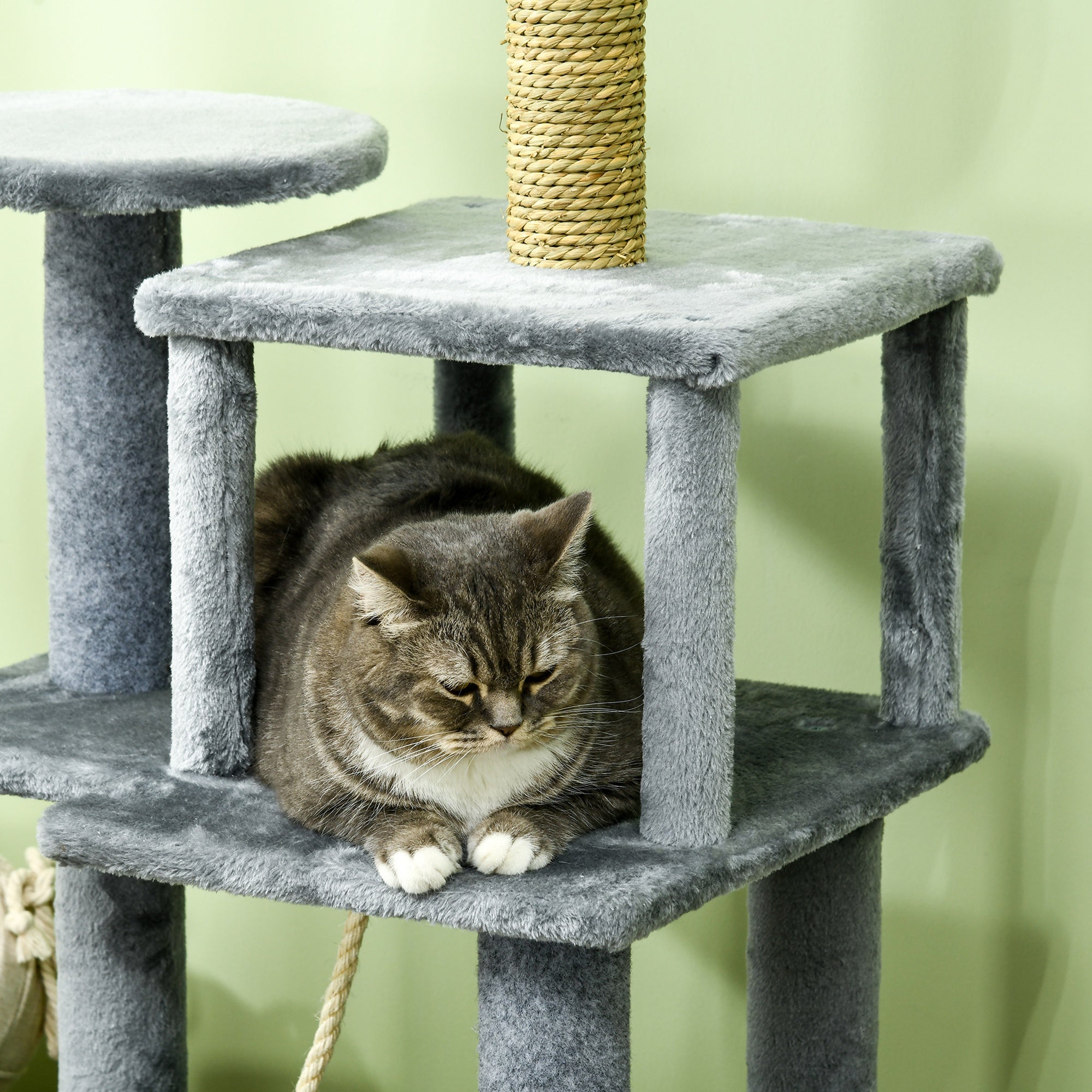PawHut 54" Cat Tree for Larger Cats Adult with Hammock, Tal Cat Tree Tower with Scratching Post, Condo, Platforms, Play Balls for Indoor Cats, Grey