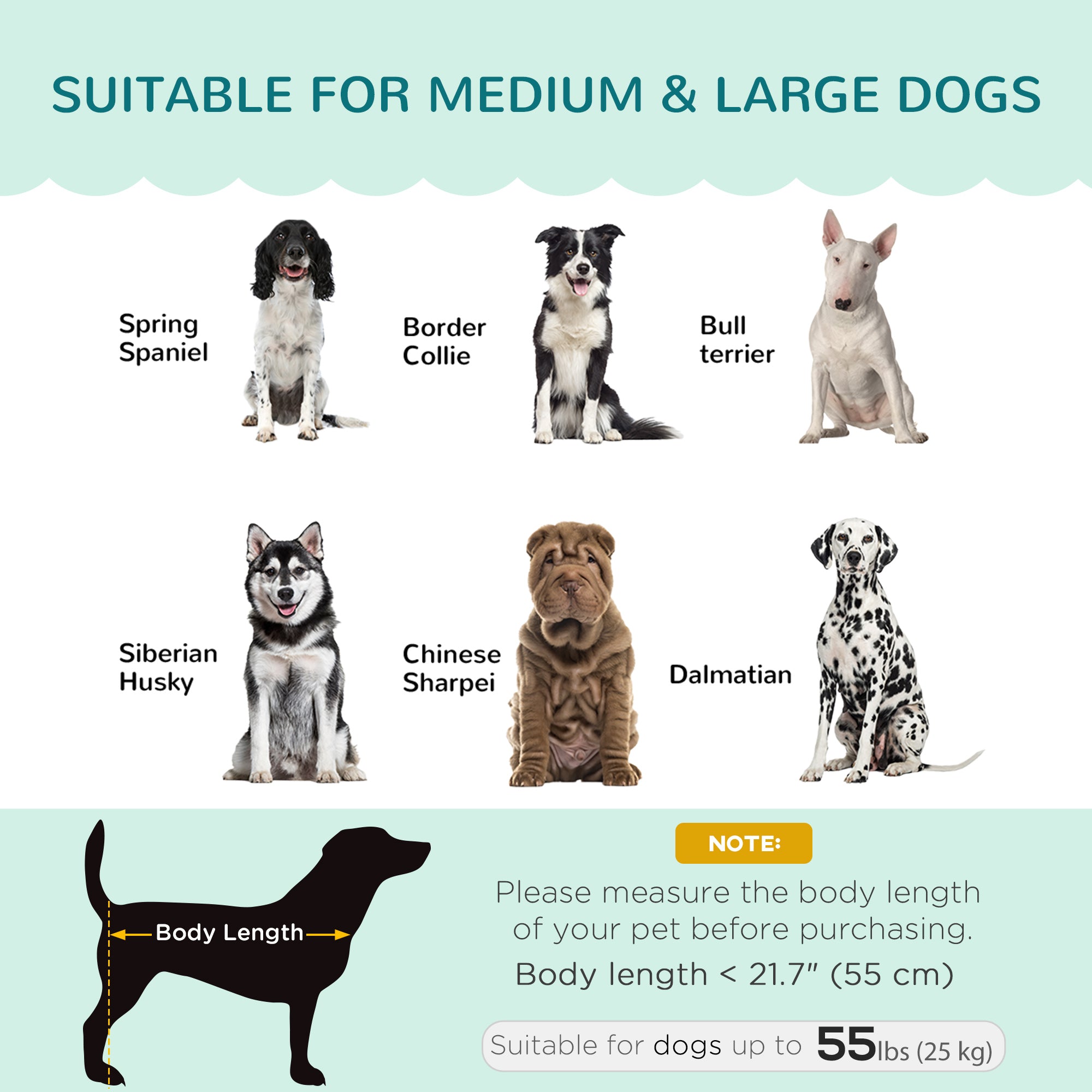 PawHut Dog Sofa with Removable Cushion Wood Legs for Medium and Large Dogs, Green