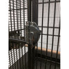 Groupets 26" Victorian Style Parrot Cage with Open Top OP06